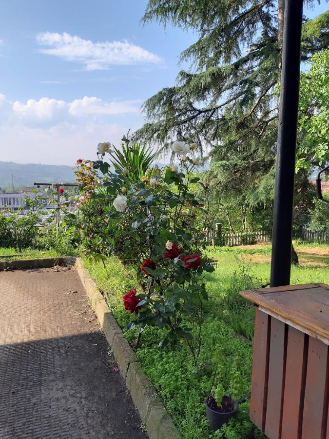 Albergue La Costana オビエド エクステリア 写真